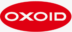 Partner 10